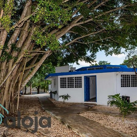 Villa Xtohil With Private Access To The Magic 7 Colors Lagoon Bacalar Exterior photo