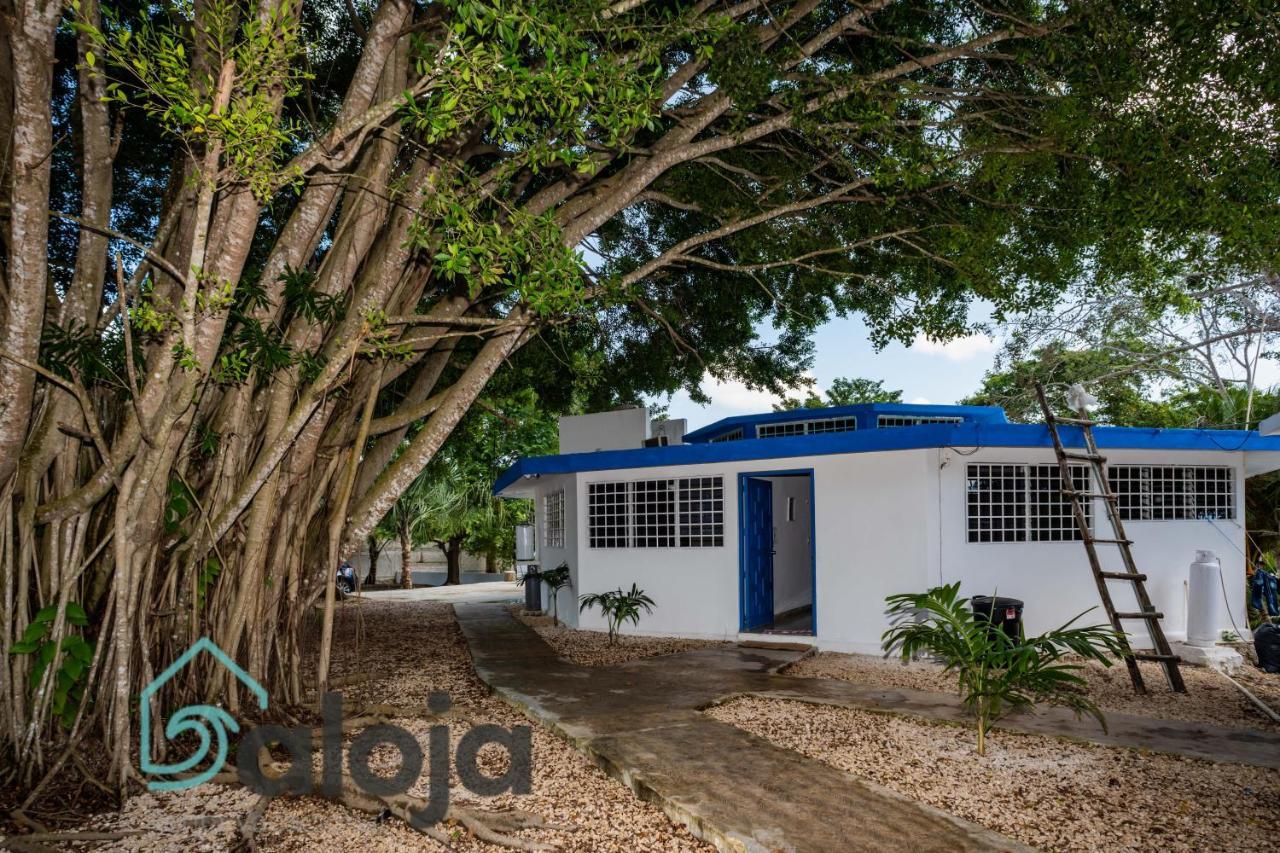 Villa Xtohil With Private Access To The Magic 7 Colors Lagoon Bacalar Exterior photo